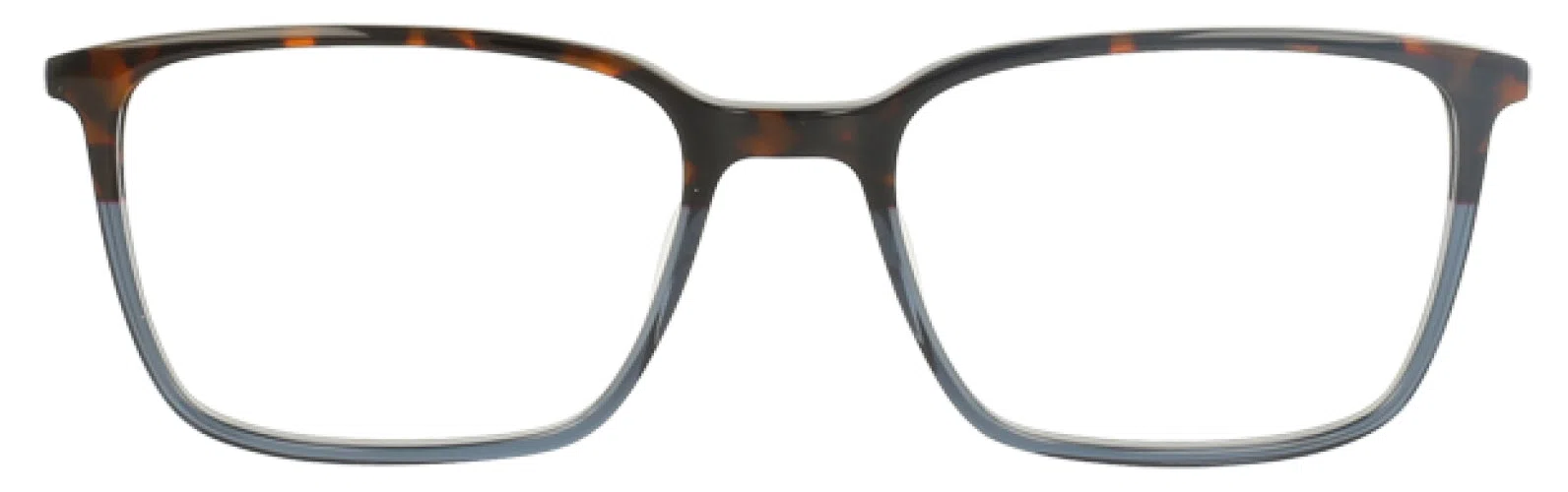Argyleculture ARSTYLES Eyeglasses - view 5